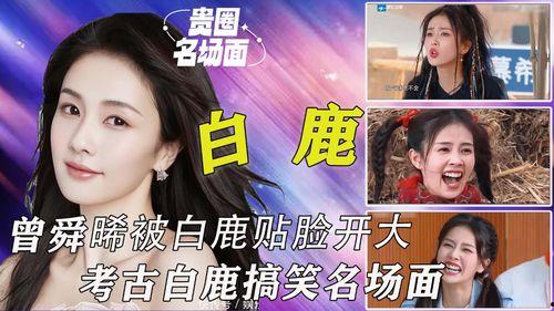 爆料白鹿综艺视频下载安装,揭秘明星幕后生活瞬间